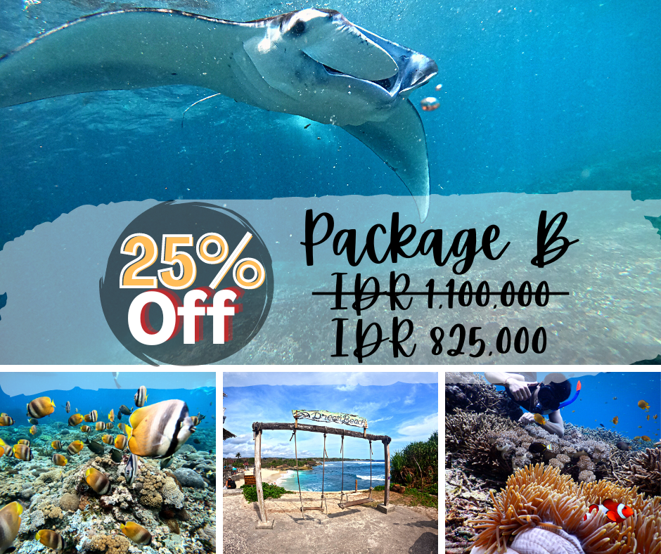 * Manta Ray Snorkeling & Lembongan Tour island Day trip from Bali