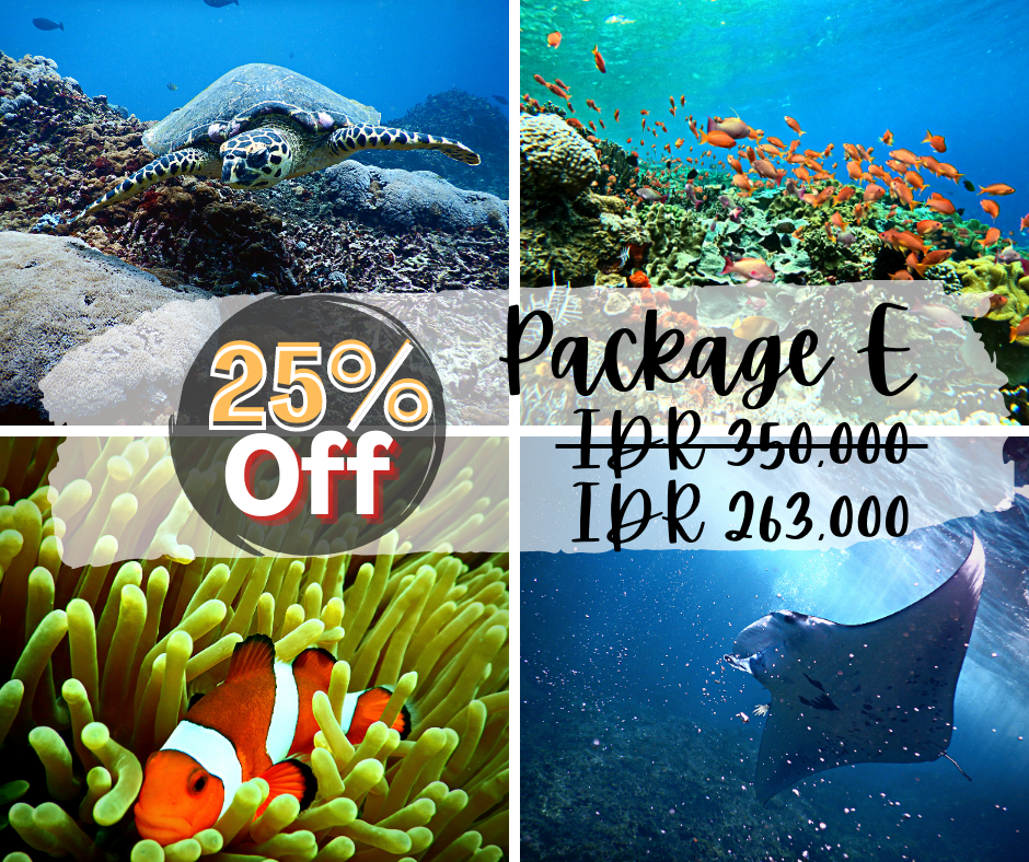 * Snorkeling With Mantarays Morning Trips 8am