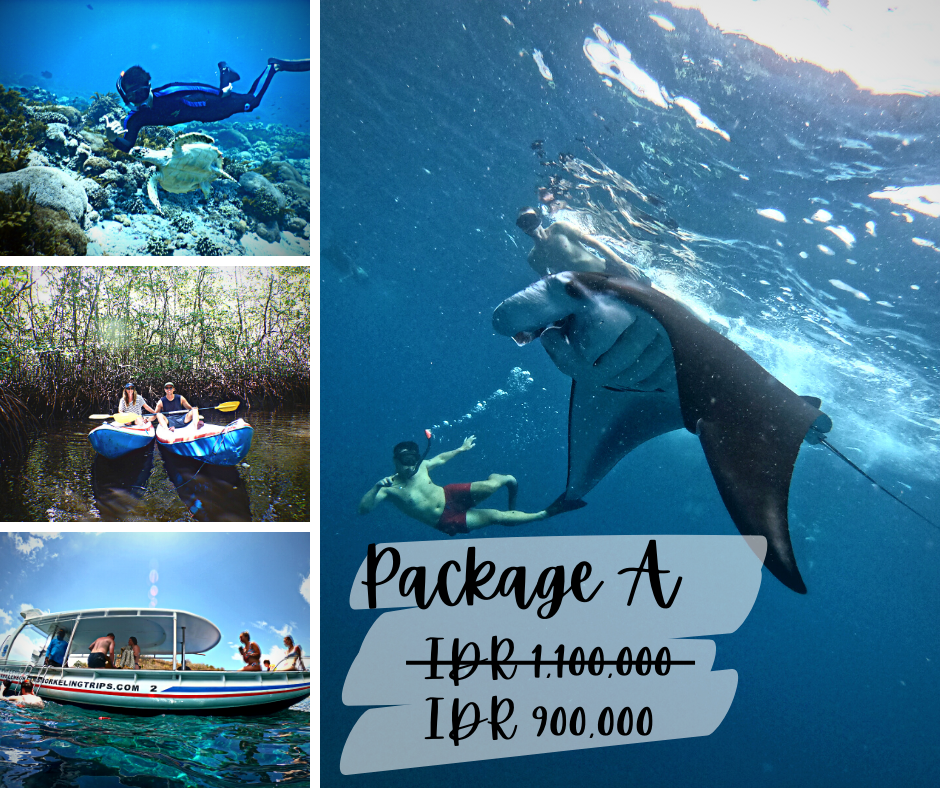* Manta Rays Snorkeling & Mangrove Tour by Kayak Day trip from Bali