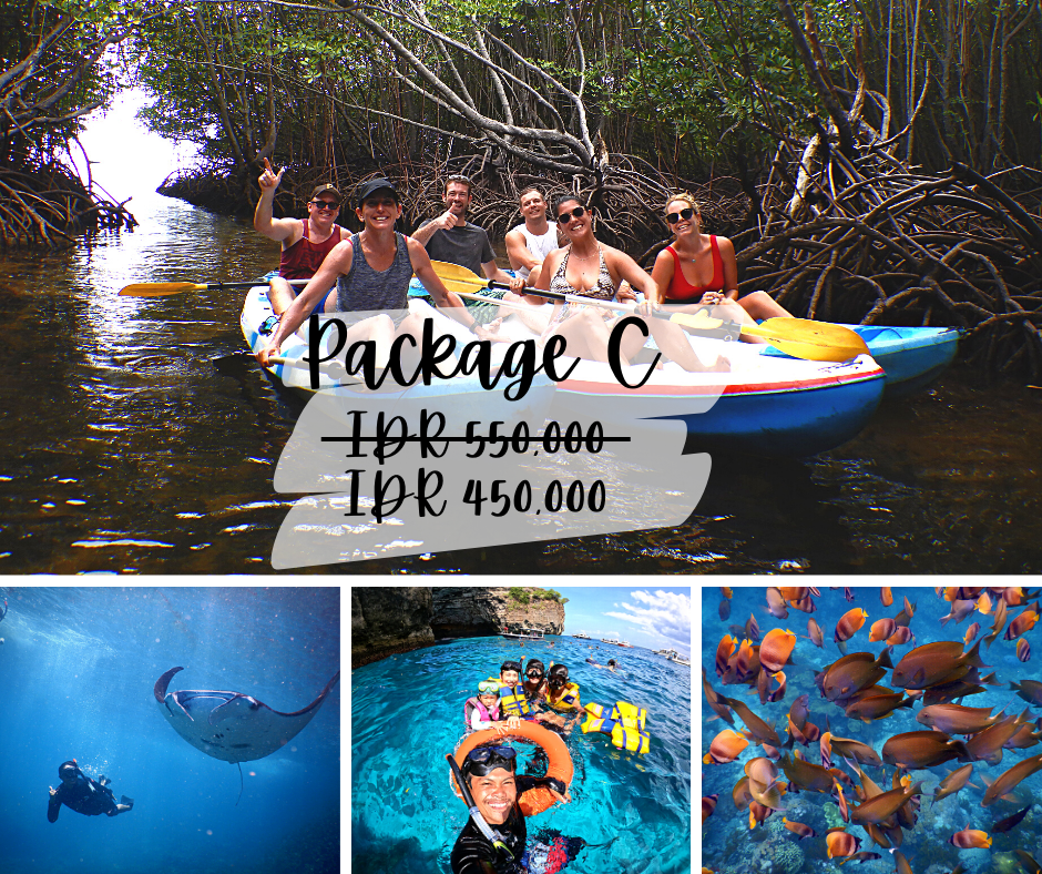* Manta Rays Snorkeling & Mangrove Tour from Nusa Lembongan or Penida