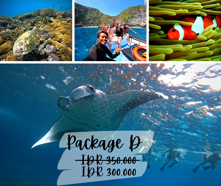 * Manta Rays Snorkeling Trips from Nusa Lembongan or Nusa Penida