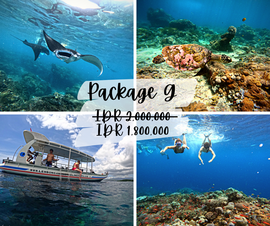 * Private Snorkeling Trips from Nusa Lembongan or Nusa Penida