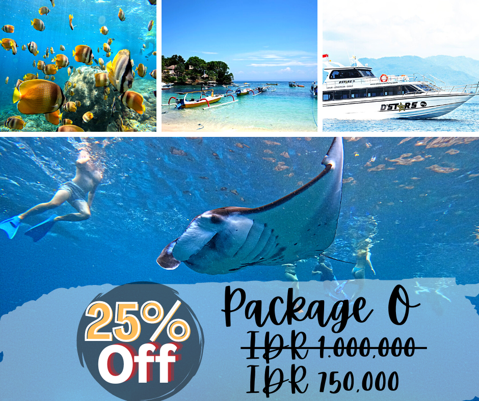 * Half Day Snorkeling Trips from Bali